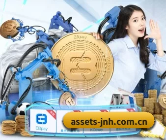国际化进程 - 全球化战略取得重大进展,千万用户共同见证金年会成长。